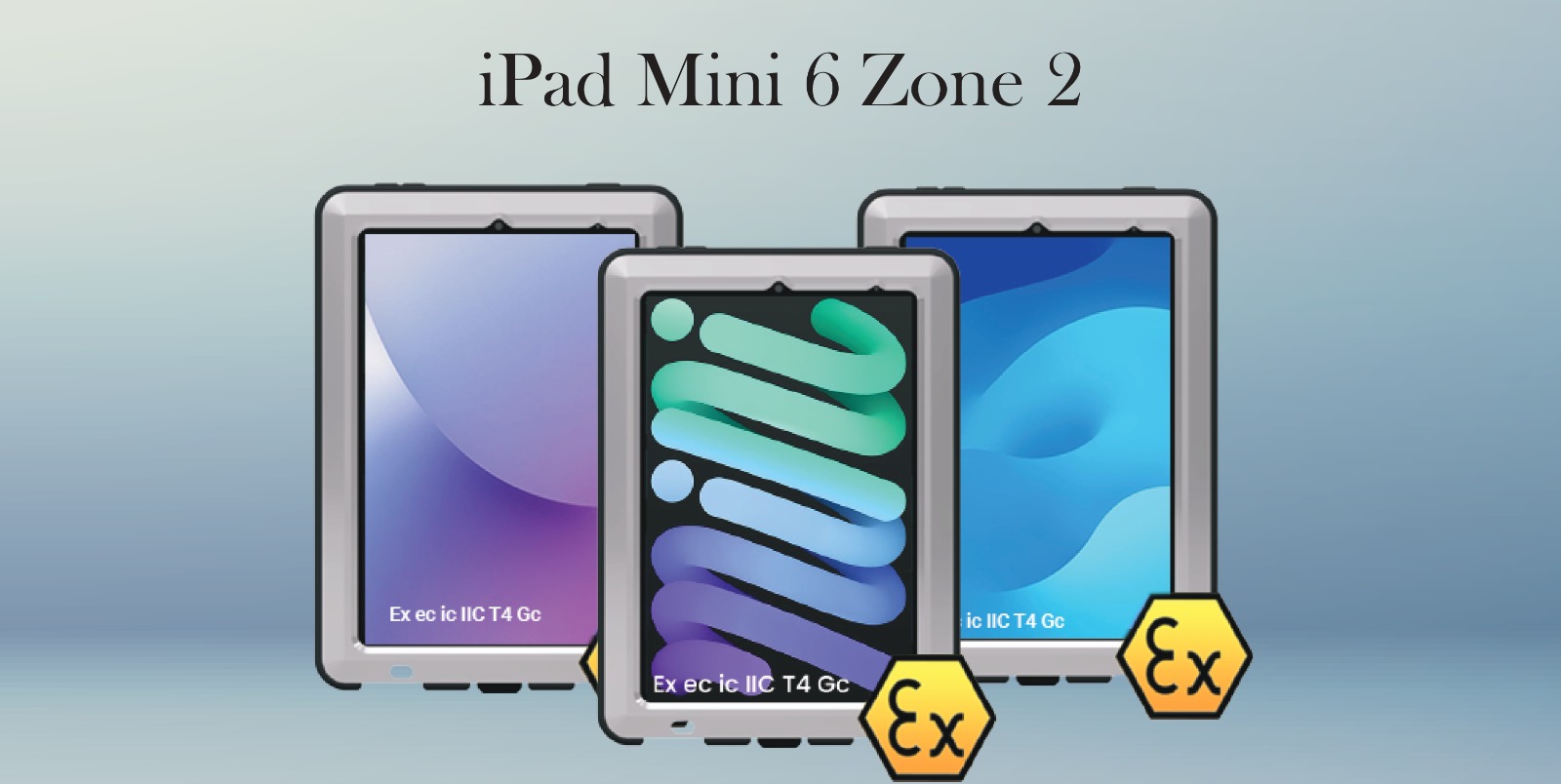 iPad Mini 6 Zone 2
